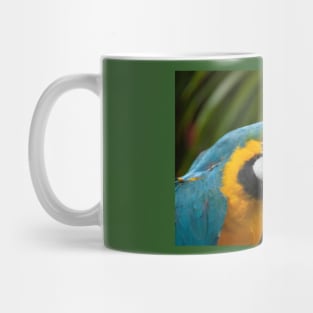 Blue and Gold Macaw Parrot Mug